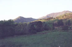 View from the front porch